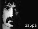 Frank Zappa
Wallpaper